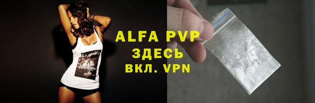 крисы Балахна