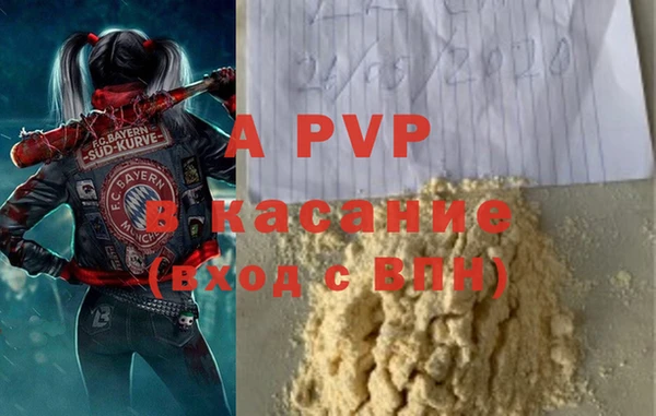 крисы Балахна