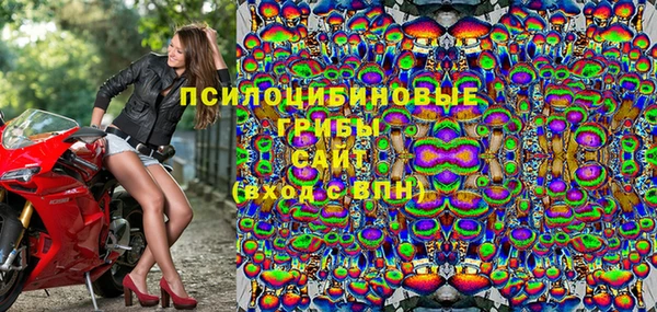 ПСИЛОЦИБИНОВЫЕ ГРИБЫ Баксан