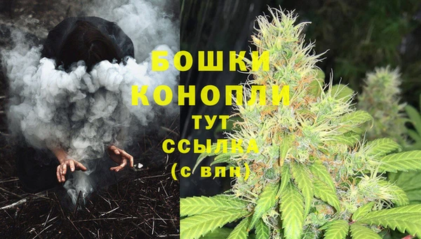 крисы Балахна